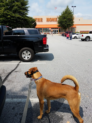 Home Improvement Store «The Home Depot», reviews and photos, 210 Cooley Way, Villa Rica, GA 30180, USA