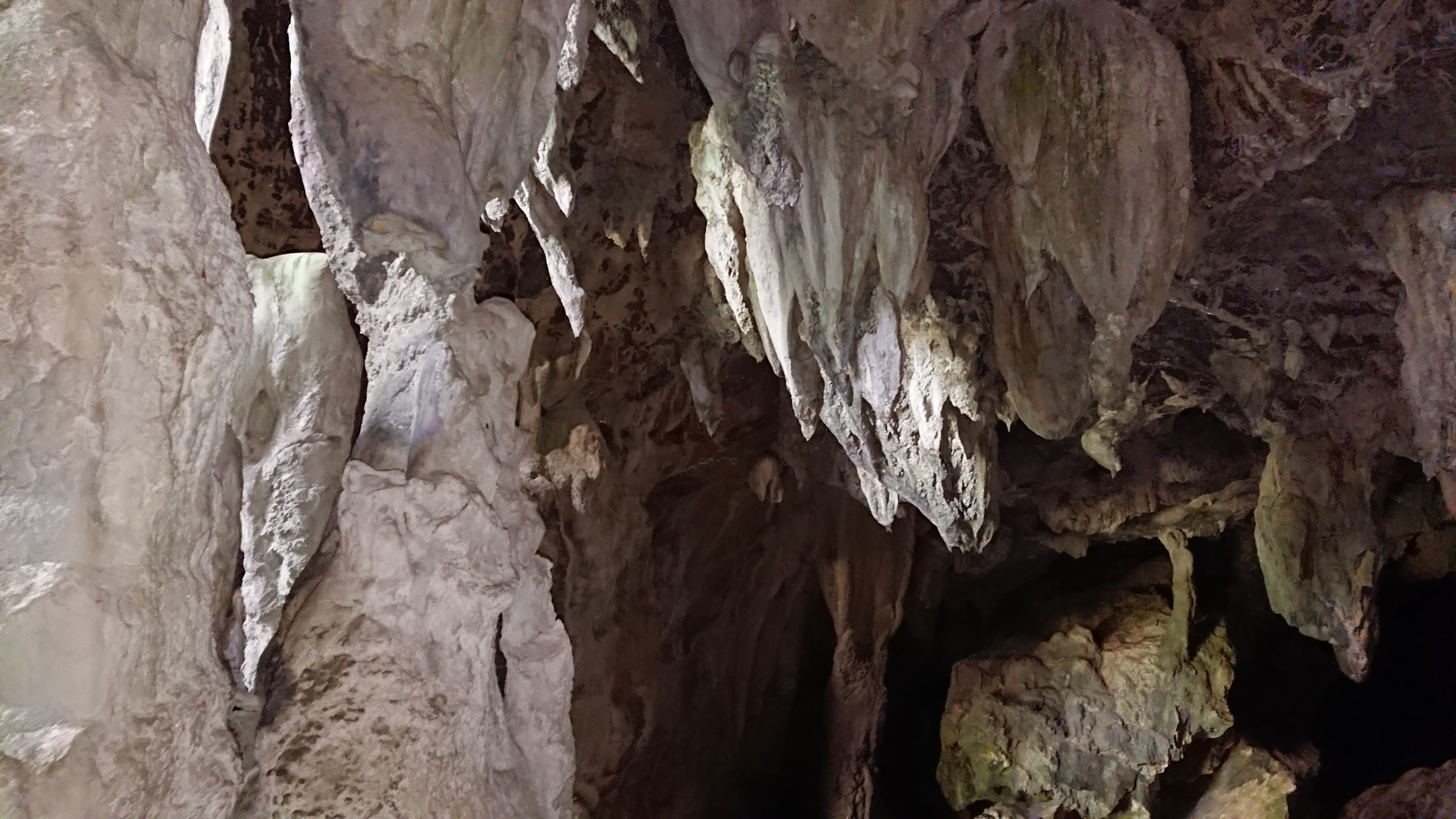 Photo n° 15 de l'avis de ALAIN.O fait le 19/08/2018 à 12:52