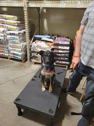 Pet Supply Store «PetSmart», reviews and photos, 7290 W Bell Rd, Glendale, AZ 85308, USA