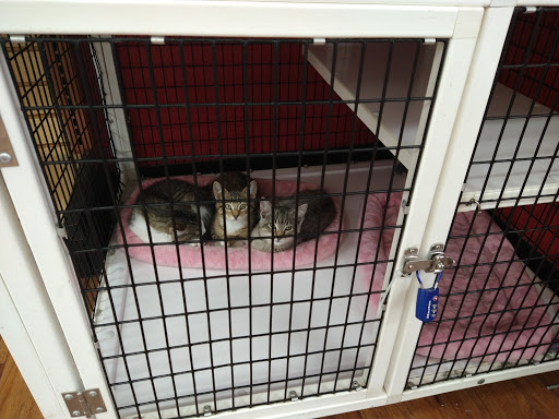 Pet Supply Store «Pet Supermarket», reviews and photos, 27955 US-98, Daphne, AL 36526, USA