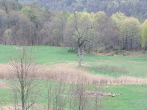 National Park «Home of Franklin D. Roosevelt National Historic Site», reviews and photos, 4097 Albany Post Rd, Hyde Park, NY 12538, USA