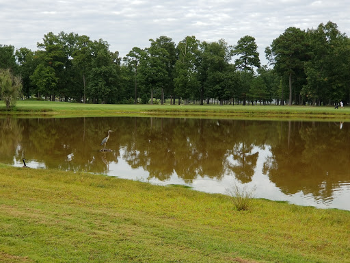 Golf Course «The Hollows Golf Club», reviews and photos, 14501 Greenwood Church Rd, Montpelier, VA 23192, USA