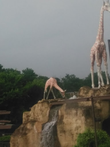 Insurance Agency «AAA», reviews and photos