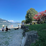 Photo n°1 de l'avis de Francesco.e fait le 07/05/2024 à 08:20 sur le  La Limonaia à Merone