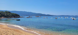 Foto di Plage de la Medea con una costa spaziosa