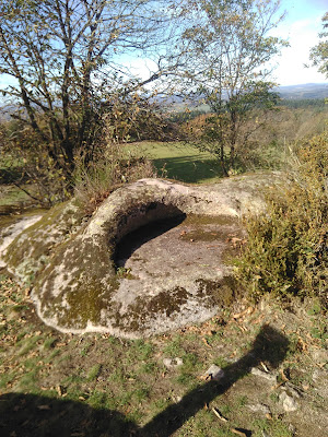 Le PARIOLOUP à Suin