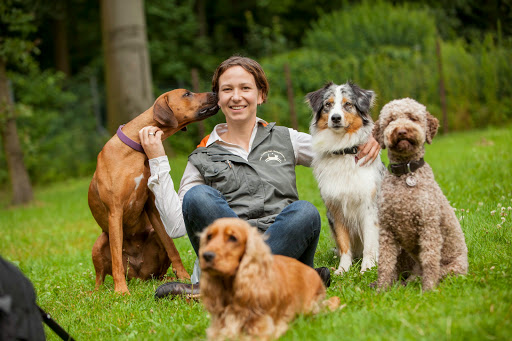 Training für Hundebesitzer - Hundeschule Dr. Sandra Bruns