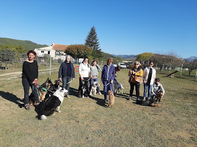 LAURENCE BOYER EDUCATION CANINE à Entrechaux