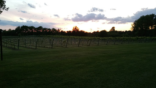 Bed & Breakfast «Springhill Plantation B & B», reviews and photos, 3205 Springfield Rd, Bloomfield, KY 40008, USA