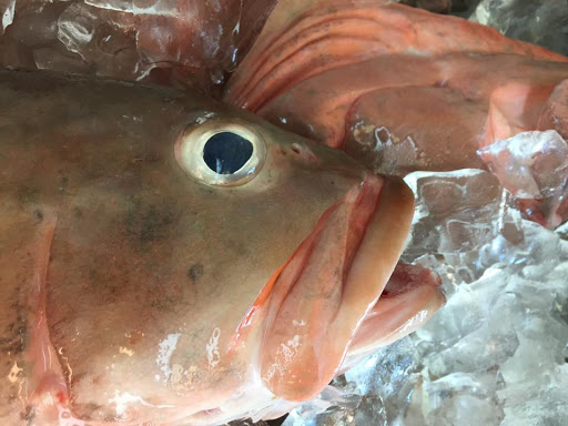 Seafood Market «Key West Shrimp Company», reviews and photos, 7217 Gulf Blvd, St Pete Beach, FL 33706, USA