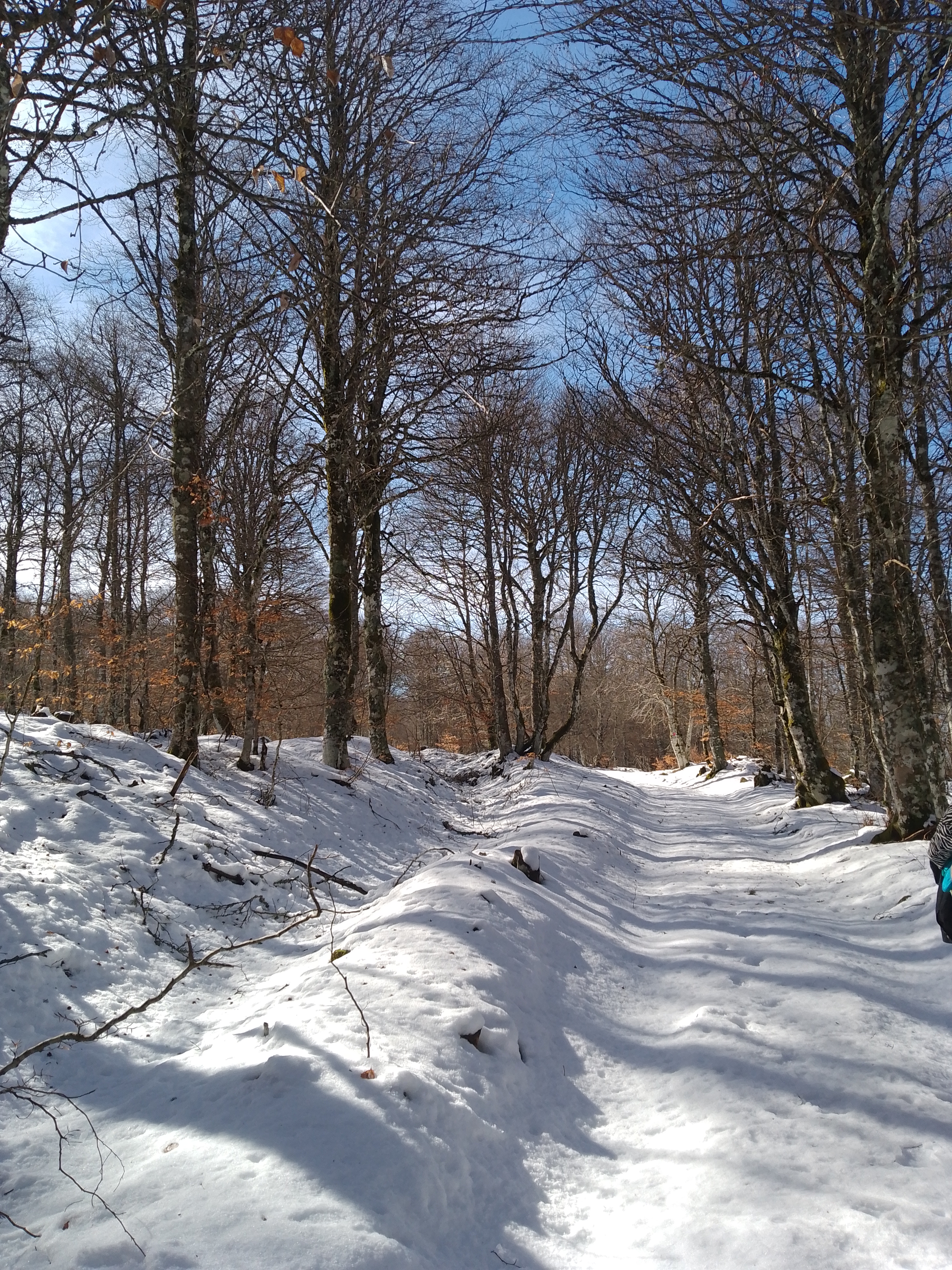 Photo n° 3 de l'avis de rt.r fait le 14/02/2024 à 18:32