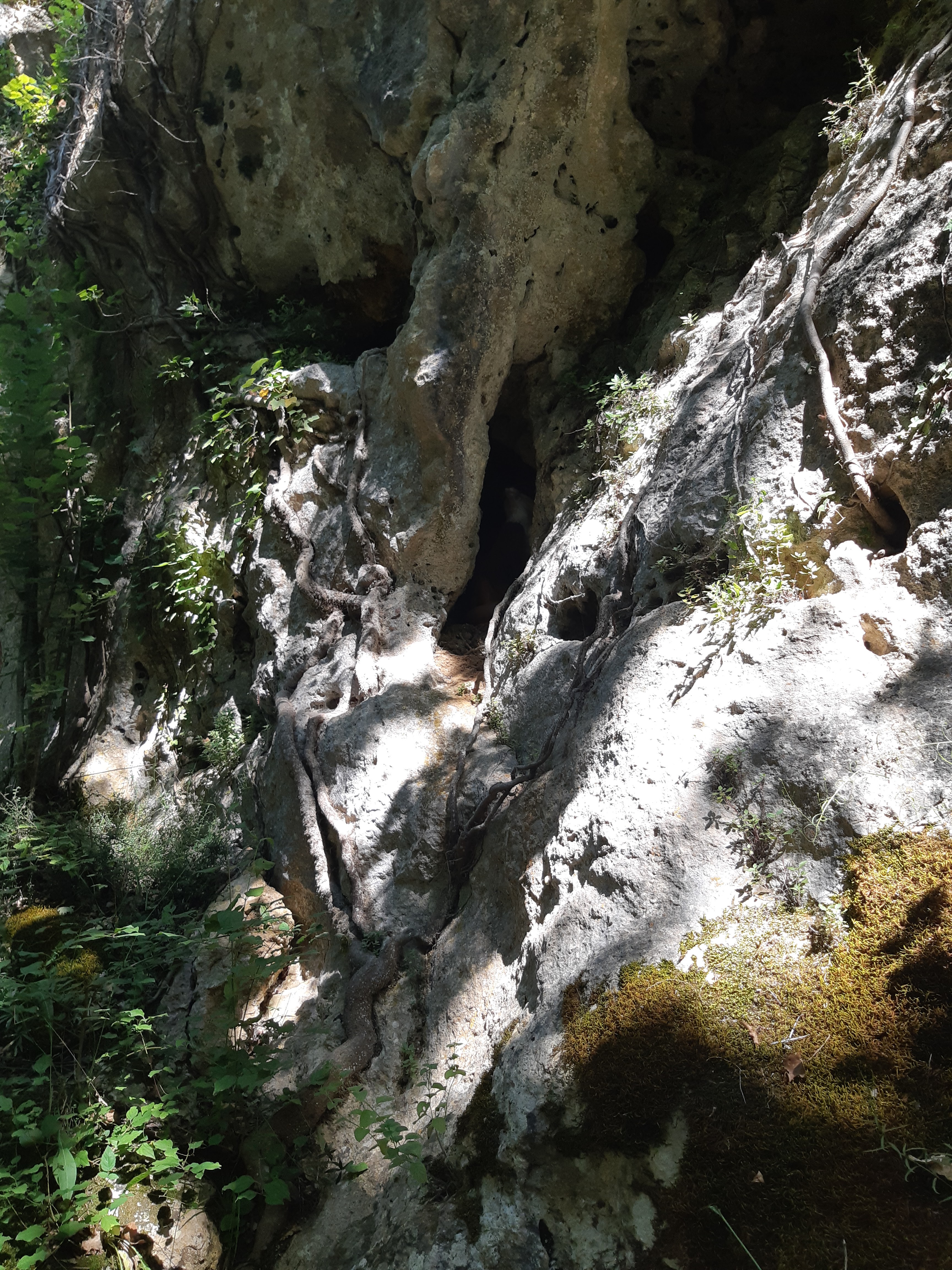 Photo n° 36 de l'avis de Pamela.e fait le 26/07/2018 à 11:23