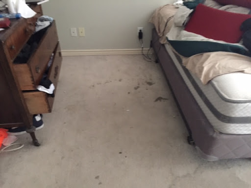 Los Angeles Carpet Cleaning image