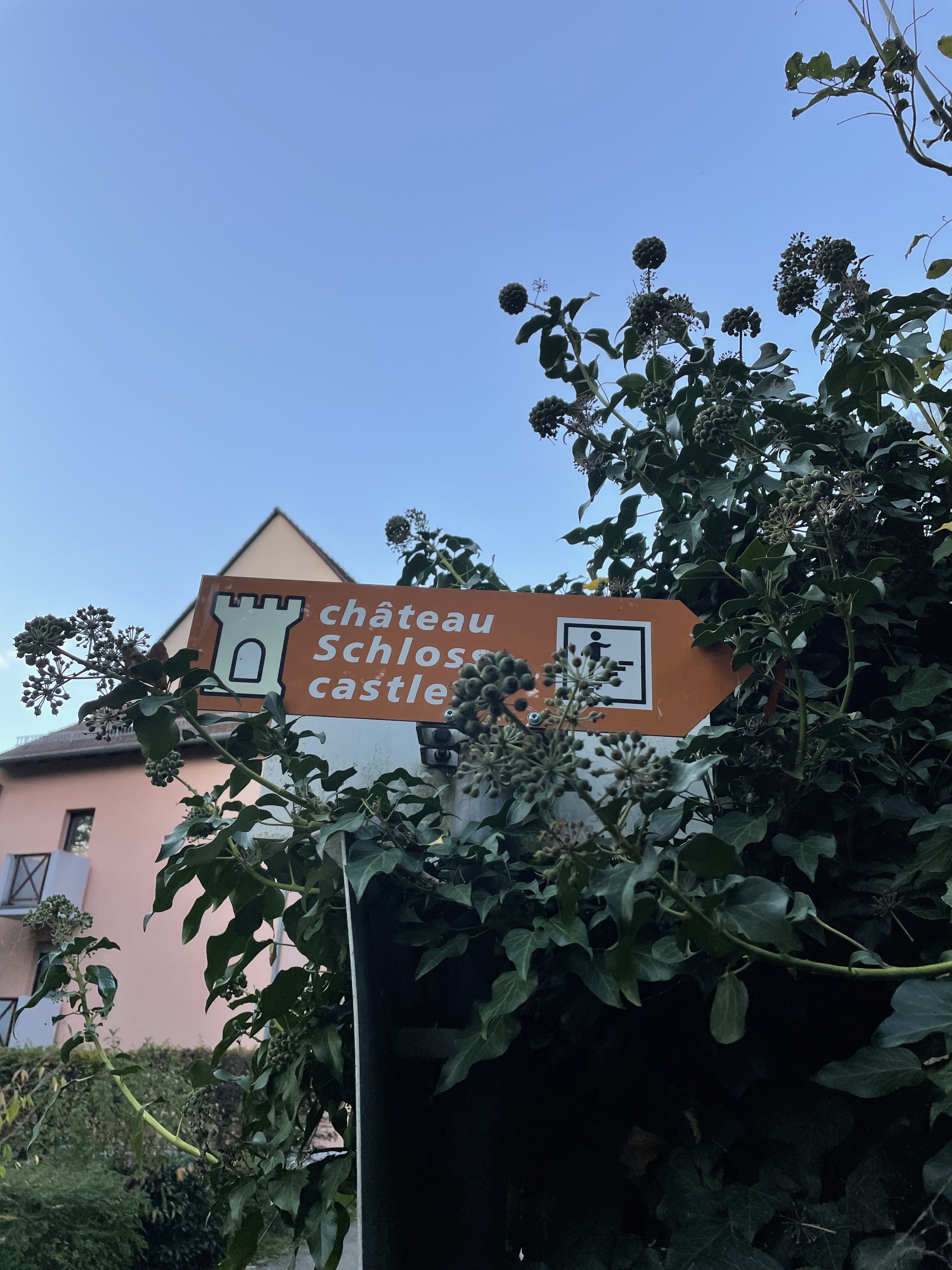 Photo n° 2 de l'avis de Blu.m fait le 02/11/2022 à 19:53