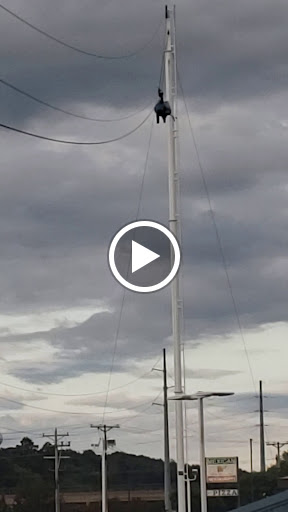 Amusement Center «Action City Trampoline Park & Fun Center», reviews and photos, 2402 Lorch Ave, Eau Claire, WI 54701, USA