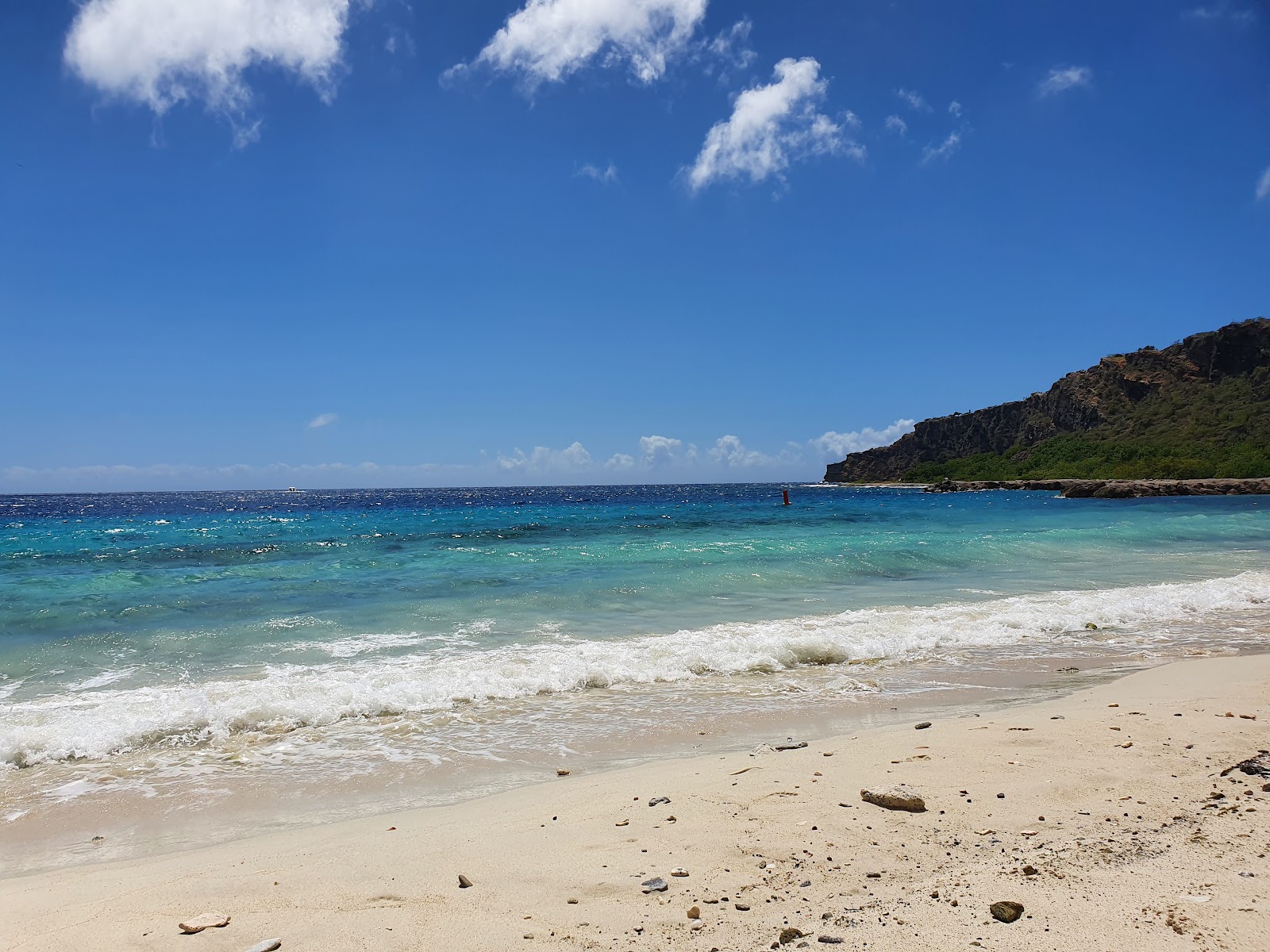 Foto von Caracas Bay mit geräumige bucht