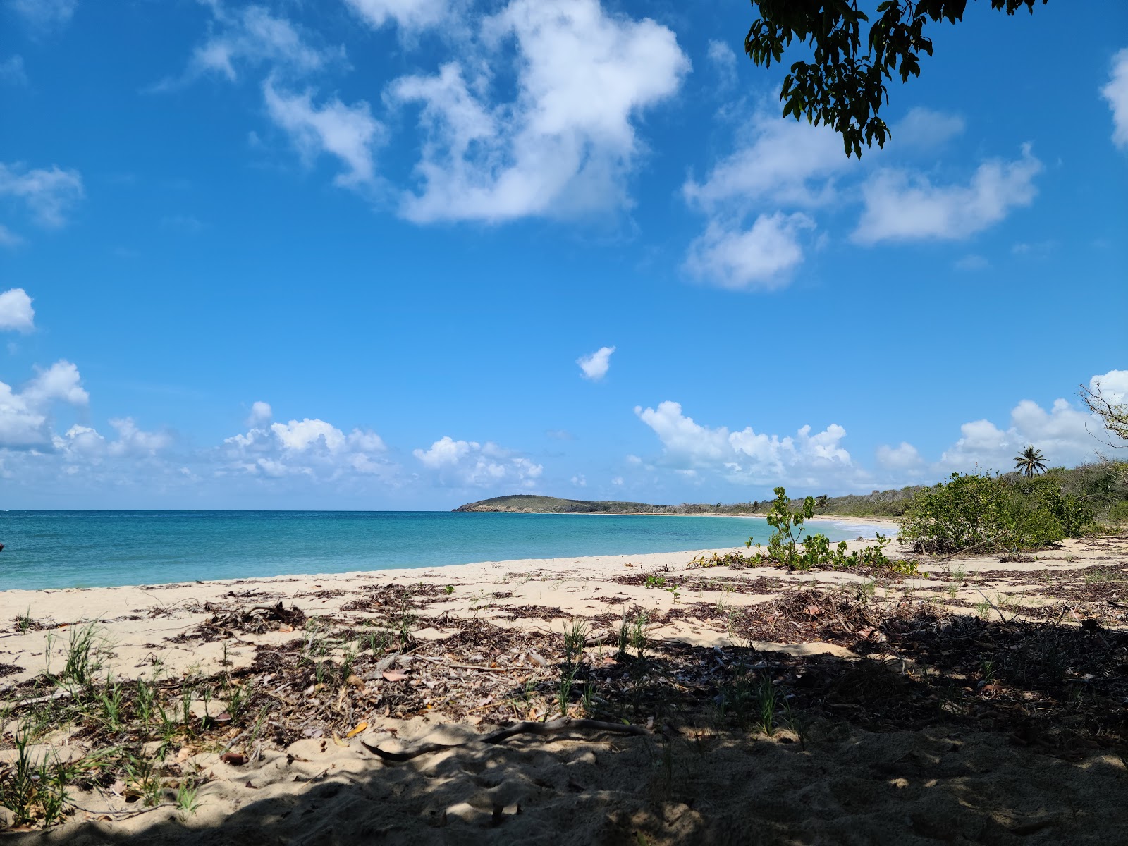 Hay Penny beach'in fotoğrafı uzun koy ile birlikte