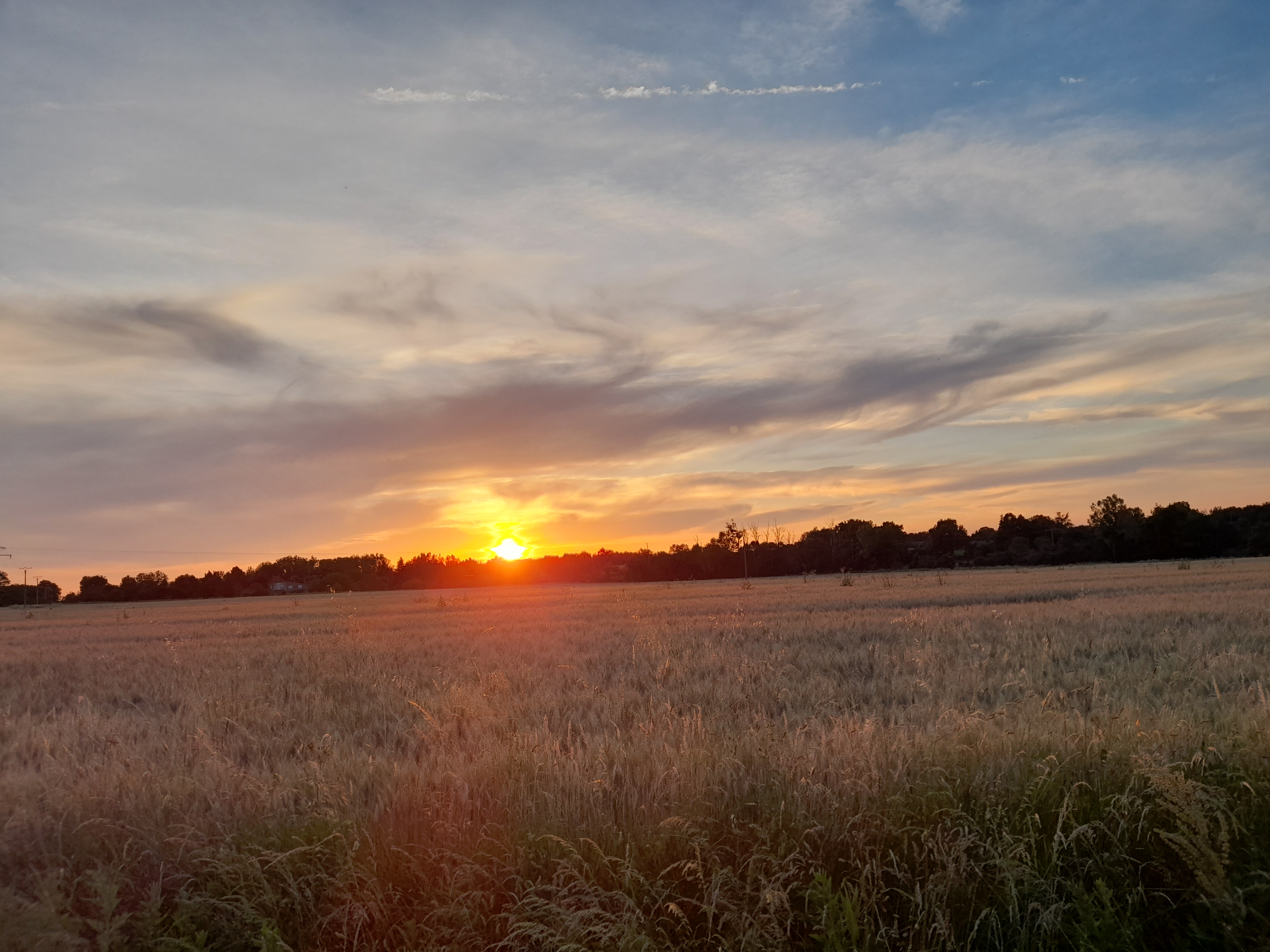 Photo n° 6 de l'avis de Dawn.u fait le 21/06/2023 à 13:02