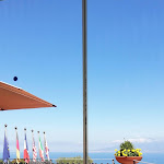 Photo n°2 de l'avis de Federica.i fait le 24/08/2020 à 15:04 sur le  Hotel la Vue D'Or à Sorrento