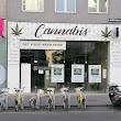 Cannabis Store Vienna