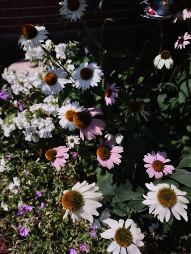 Museum «Salem Witch Museum», reviews and photos, 19 1/2 Washington Square, Salem, MA 01970, USA