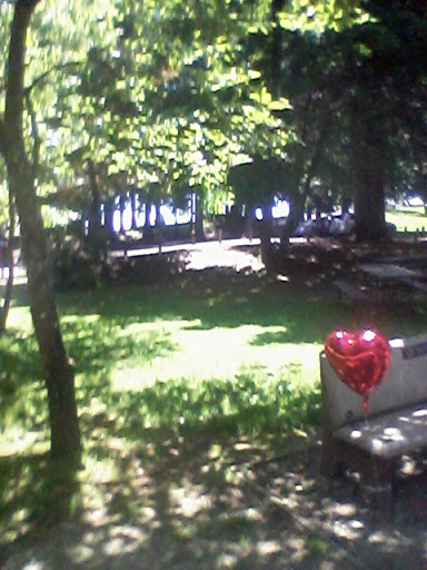 Park «Lynden City Park», reviews and photos