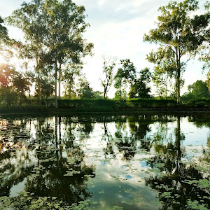 Kekorapool Park photo