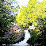 Photo n° 13 de l'avis de Lea.a fait le 14/06/2021 à 11:15 pour Cascade du Saut de Gouloux à Gouloux