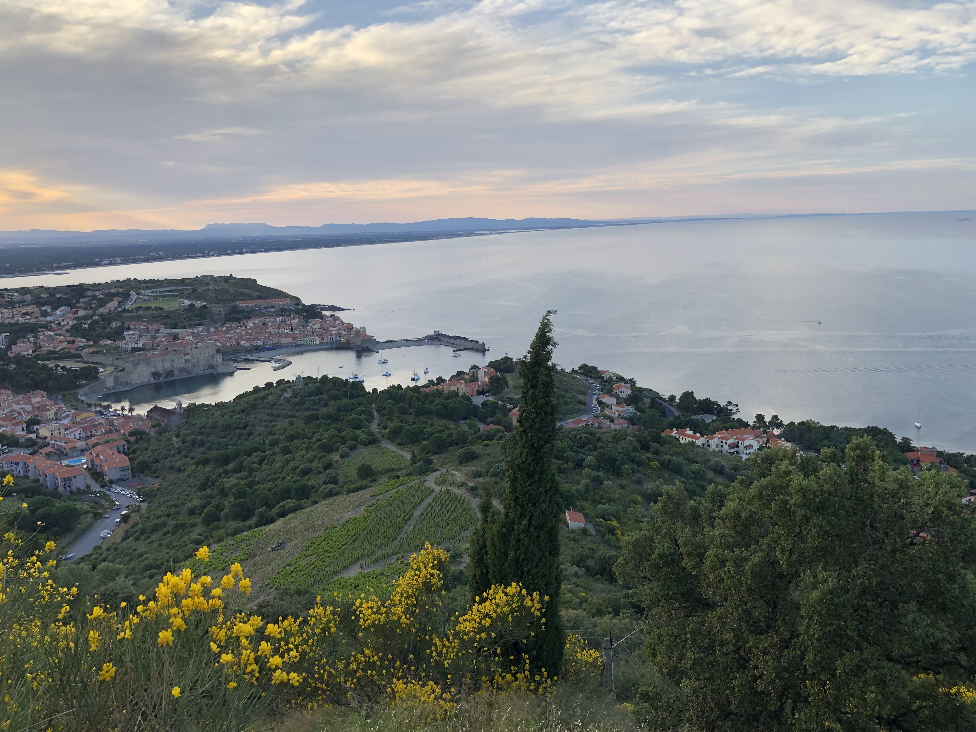 Photo n° 50 de l'avis de Denis.u fait le 11/06/2019 à 18:38
