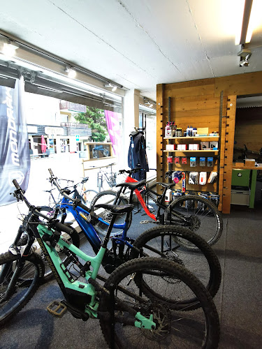 Rezensionen über Bike Academy Davos Mietcenter Davos Dorf in Davos - Sportgeschäft