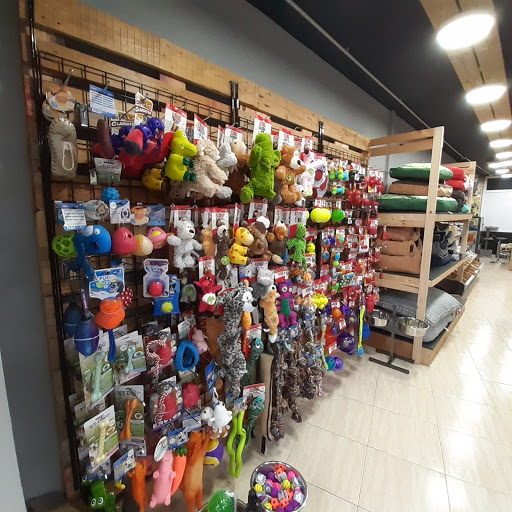 Pataplash - Santa Úrsula - Santa Úrsula