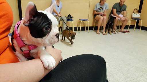 Pet Supply Store «PetSmart», reviews and photos, 2500 Posner Blvd, Davenport, FL 33837, USA