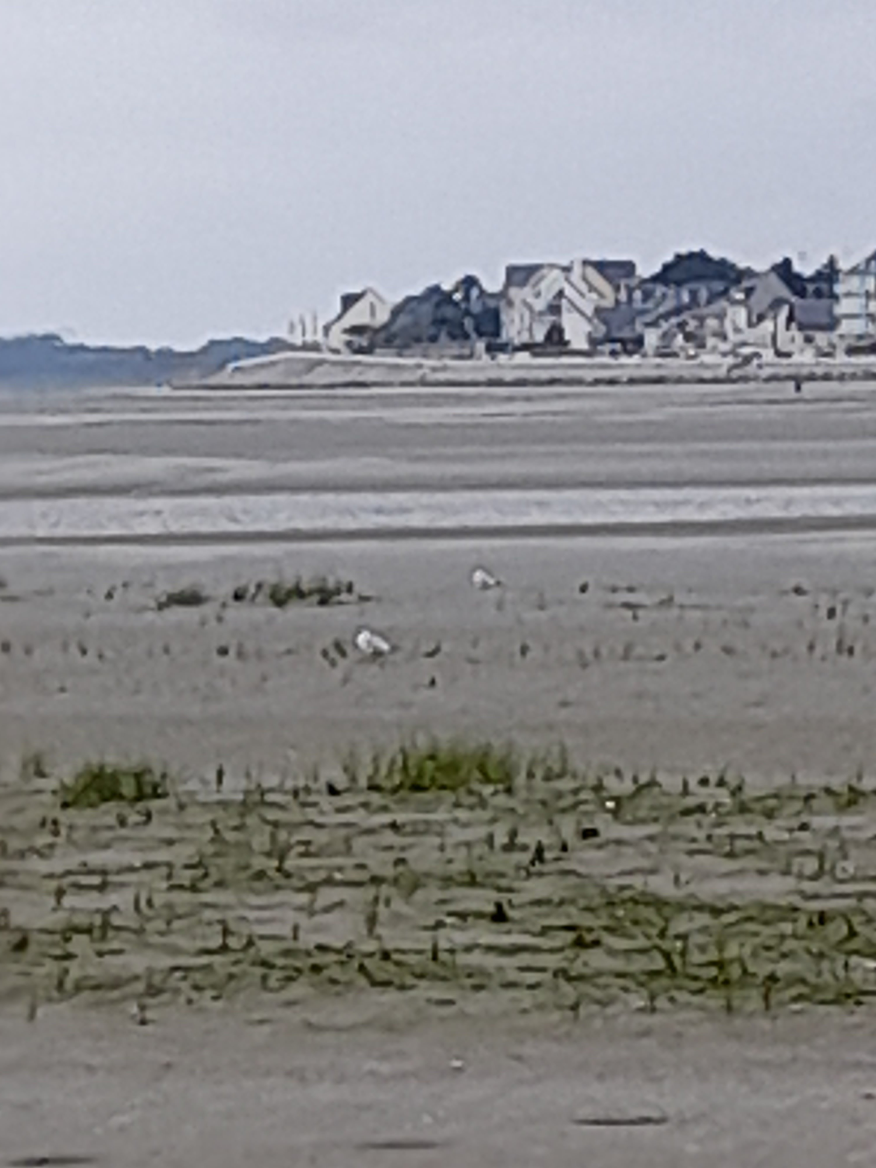 Photo n° 5 de l'avis de Local.a fait le 17/07/2021 à 20:41