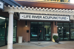 Life River Acupuncture and Integrative Medicine Inc. image