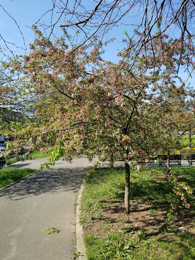 Park «Lincoln Terrace Park», reviews and photos, E New York Ave, Brooklyn, NY 11213, USA