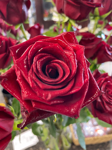 Florist «Lund Floral», reviews and photos, 483 12th St, Ogden, UT 84404, USA