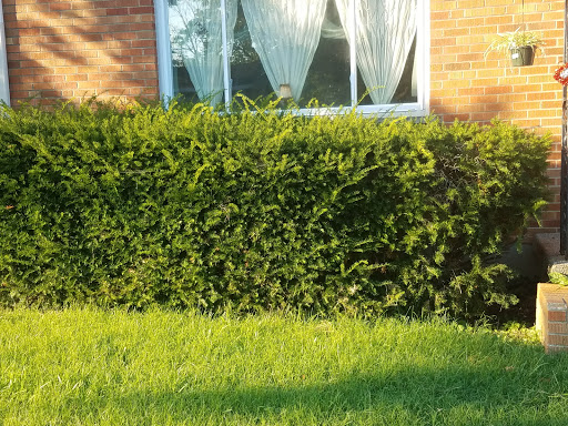 Park «Stringtown Park», reviews and photos, 7340 Burlington Pike, Florence, KY 41042, USA