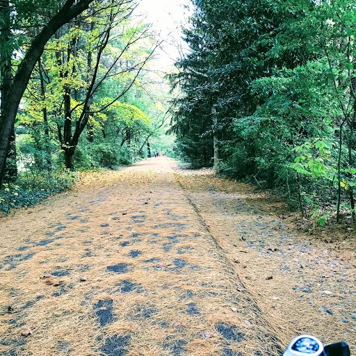 Auto Insurance Agency «State Farm- Jeffrey B Conley Insurance», reviews and photos