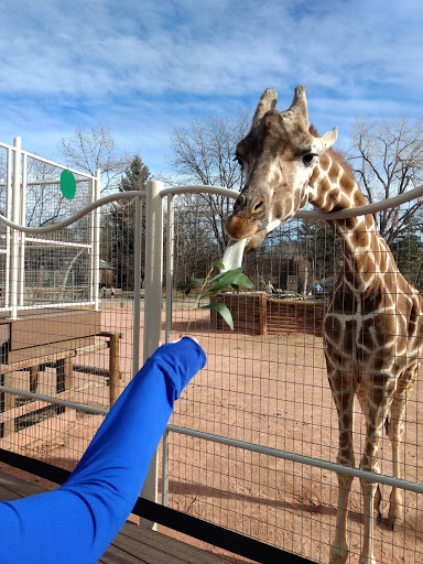 Zoo «Monkey Island», reviews and photos, 8 E 23rd Ave, Denver, CO 80205, USA