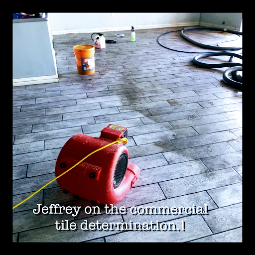 EASY CLEAN CARPET CARE image