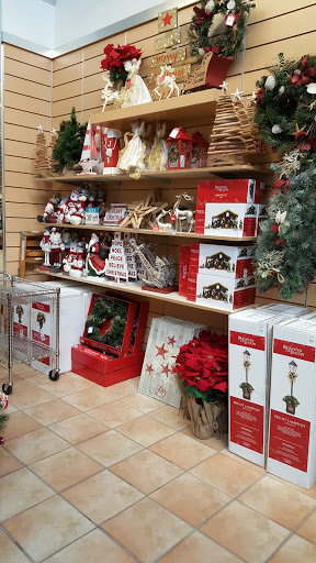 Department Store «Bealls Store», reviews and photos, 15792 N Dale Mabry Hwy, Tampa, FL 33618, USA