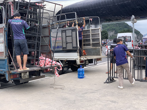 Xe tải Cẩm Phả