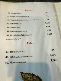 Restaurant turc AlaTurka à Willingen (la carte)