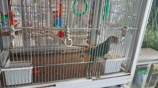 Pet Store «Pettin Place», reviews and photos, 1121 S Wells Ave, Reno, NV 89502, USA