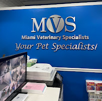 Miami Veterinary Specialists: Emergency Room - Photo 8 - Car repair in Miami, FL, Miami