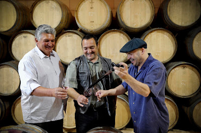 Sarl les Vins de Vienne à Chavanay