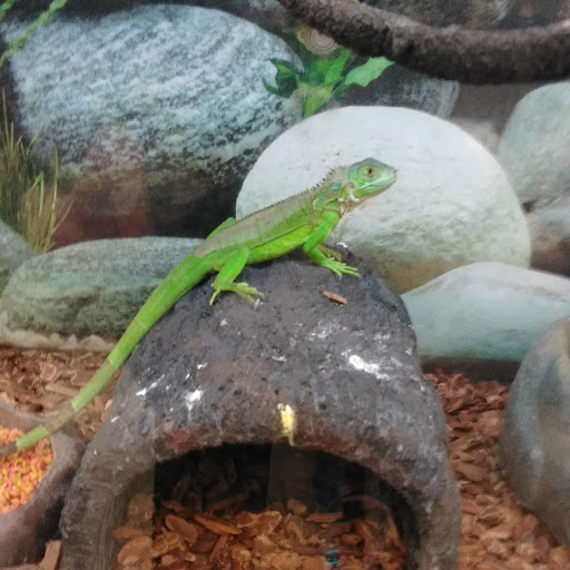 Pet Supply Store «Petco Animal Supplies», reviews and photos, 1255 Raritan Rd #140, Clark, NJ 07066, USA