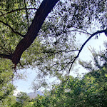 Photo n°2 de l'avis de daniela.' fait le 24/08/2021 à 14:09 sur le  Chiosco Al Ponte à Prata Sannita