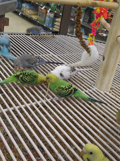 Pet Supply Store «Petco Animal Supplies», reviews and photos, 3637 2700 W, West Valley City, UT 84119, USA