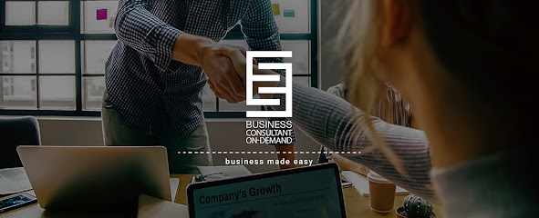 Business Consultant On-Demand